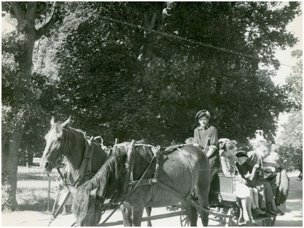 Foto av man som kör häst och vagn, remmalag. På flaket sitter människor. 